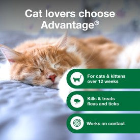 Advantage Cat Flea & Tick Shampoo for Kittens & Adult Cats Online