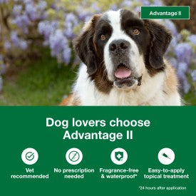 Advantage II XL Dog Vet-Recommended Flea Treatment & Prevention Online Sale