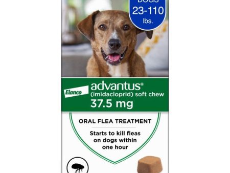 Advantus Chewable Flea Treatment for Dogs For Sale