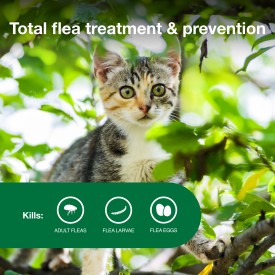 Advantage II Kitten Flea Treatment & Prevention Sale