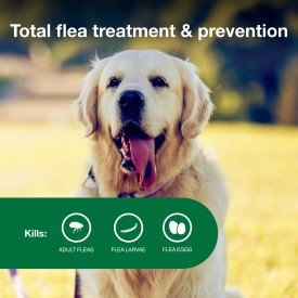 Advantage II Large Dog Vet-Recommended Flea Treatment & Prevention Supply