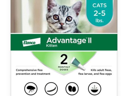 Advantage II Kitten Flea Treatment & Prevention Sale