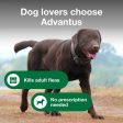 Advantus Chewable Flea Treatment for Dogs For Sale