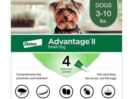 Advantage II Small Dog Vet-Recommended Flea Treatment & Prevention Online Sale