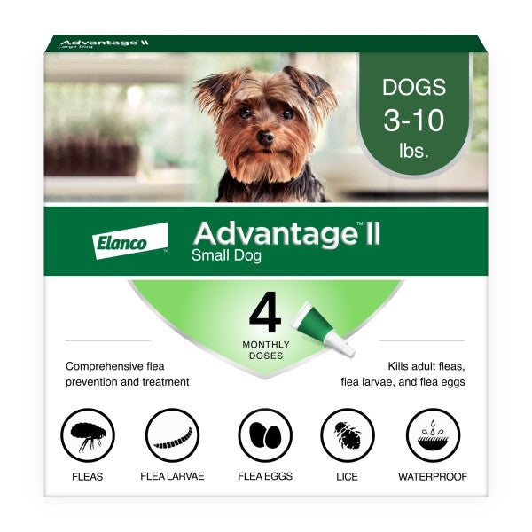 Advantage II Small Dog Vet-Recommended Flea Treatment & Prevention Online Sale