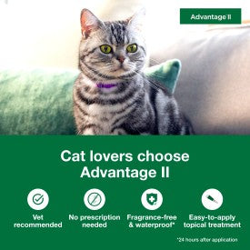 Advantage II Small Cat Vet-Recommended Flea Treatment & Prevention Online now