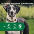 Advantage II XL Dog Vet-Recommended Flea Treatment & Prevention Online Sale