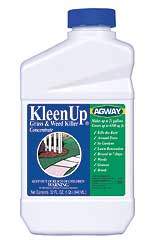 AGWAY KLEENUP GRASS & WEED KILLER CONCENTRATE 1 QT. For Discount