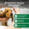 Advantage Dog Flea & Tick Shampoo for Puppies & Adult Dogs Supply