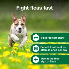 Advantus Dog Advantus Chewable Flea Treatment for Dogs Online Sale