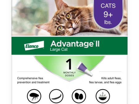 Advantage II Large Cat Flea Treatment & Prevention For Sale