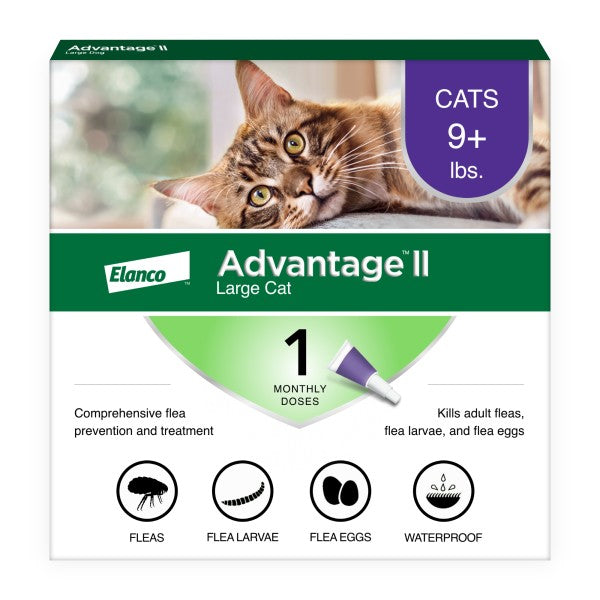 Advantage II Large Cat Flea Treatment & Prevention For Sale