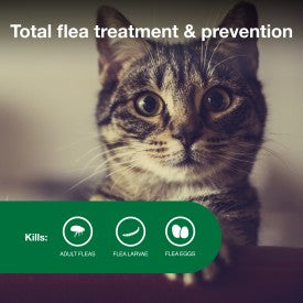 Advantage II Small Cat Vet-Recommended Flea Treatment & Prevention Online now