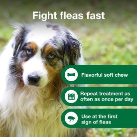 Advantus Chewable Flea Treatment for Dogs For Sale