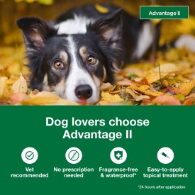 Advantage II Large Dog Vet-Recommended Flea Treatment & Prevention Supply