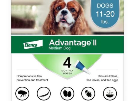 Advantage II Medium Dog Vet-Recommended Flea Treatment & Prevention Online Hot Sale