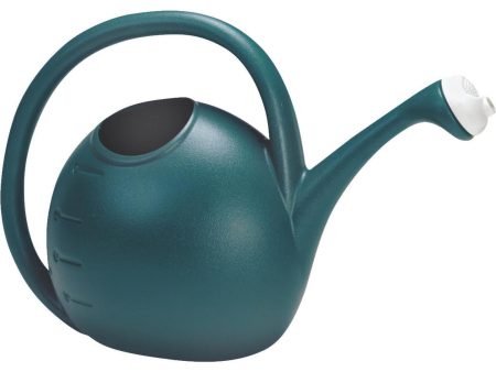 Akro Mills 2 Gal. Greenish Blue Poly Adjustable Flow Watering Can Online