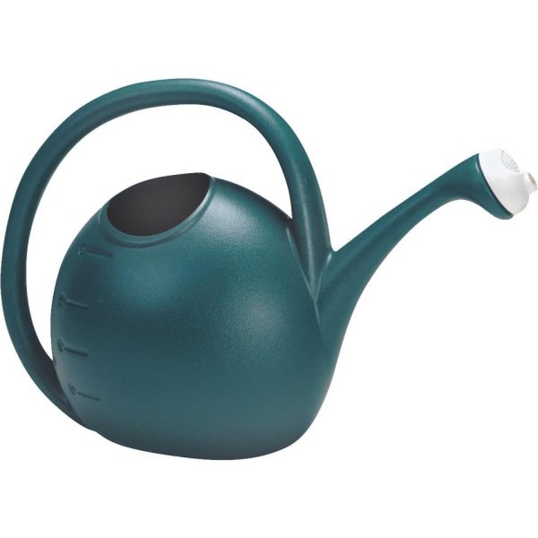 Akro Mills 2 Gal. Greenish Blue Poly Adjustable Flow Watering Can Online