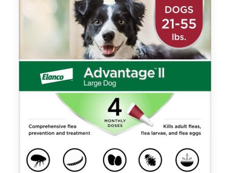 Advantage II Large Dog Vet-Recommended Flea Treatment & Prevention Supply