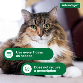 Advantage Cat Flea & Tick Shampoo for Kittens & Adult Cats Online