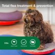 Advantage II Small Dog Vet-Recommended Flea Treatment & Prevention Online Sale